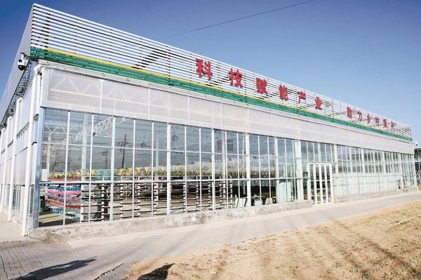 億策略 小菌菇住进“黄金屋”，科技+保险让农户致富有保障