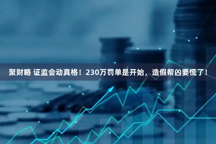 聚财略 证监会动真格！230万罚单是开始，造假帮凶要慌了！