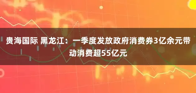 贵海国际 黑龙江：一季度发放政府消费券3亿余元带动消费超55亿元