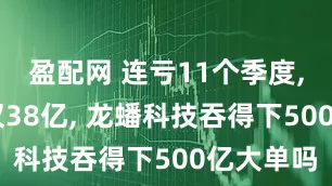 盈配网 连亏11个季度, 净资产仅38亿, 龙蟠科技吞得下500亿大单吗